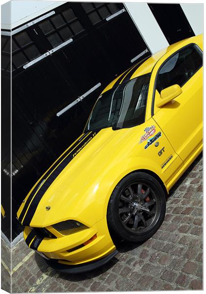 Ford Mustang Canvas Print by david harding