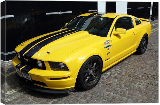 Ford Mustang Canvas Print by david harding