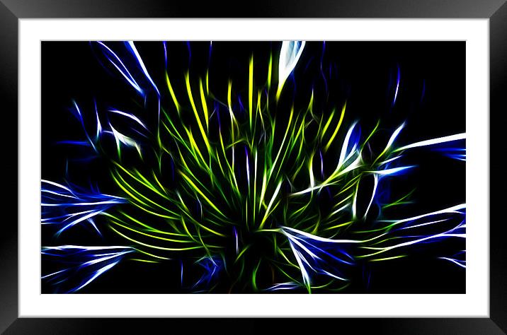 Neon blues Framed Mounted Print by Apple of  your i 