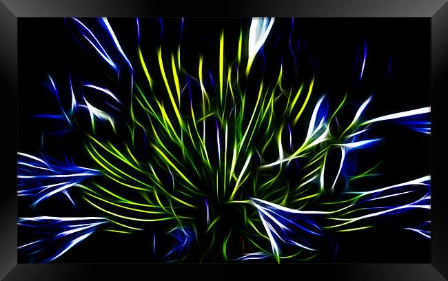 Neon blues Framed Print by Apple of  your i 