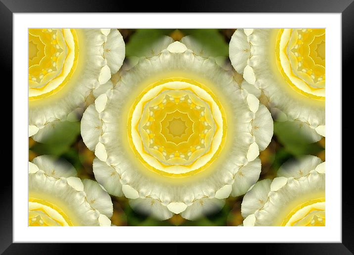 spiral flower Framed Mounted Print by Apple of  your i 