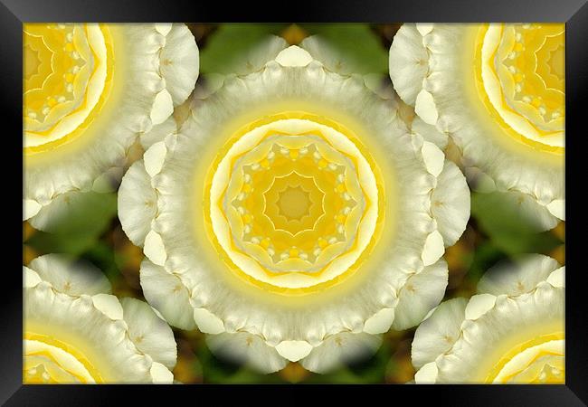 spiral flower Framed Print by Apple of  your i 