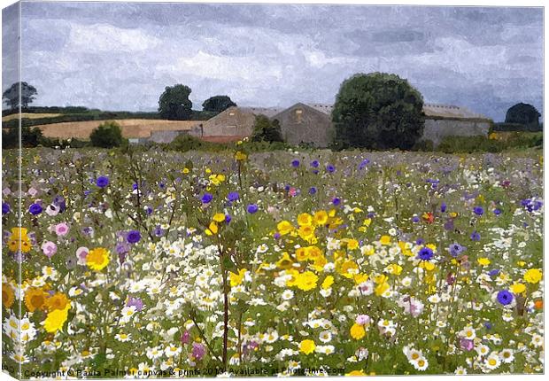 wildflower meadow 2 Canvas Print by Paula Palmer canvas