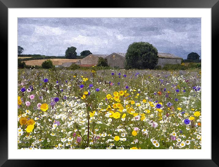 wildflower meadow 2 Framed Mounted Print by Paula Palmer canvas