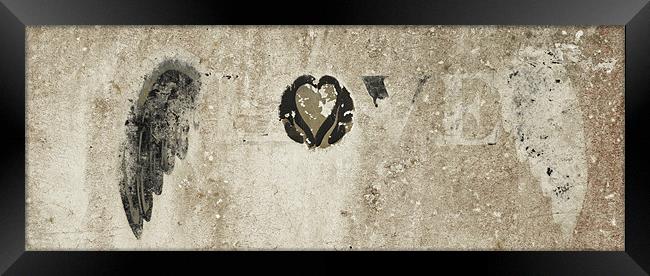 Love never dies, just fades Framed Print by Paul May