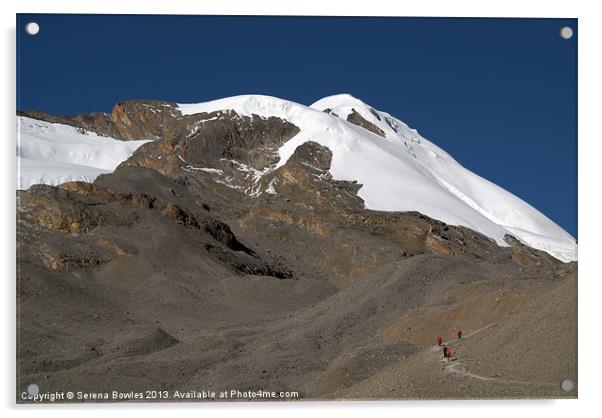 Approaching Thorung La, Annapurna Circuit, Nepal H Acrylic by Serena Bowles