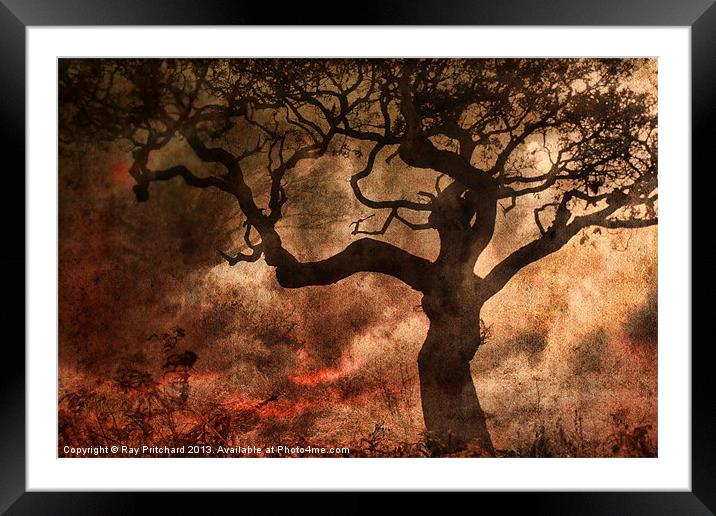 Leaf Me Alone Framed Mounted Print by Ray Pritchard