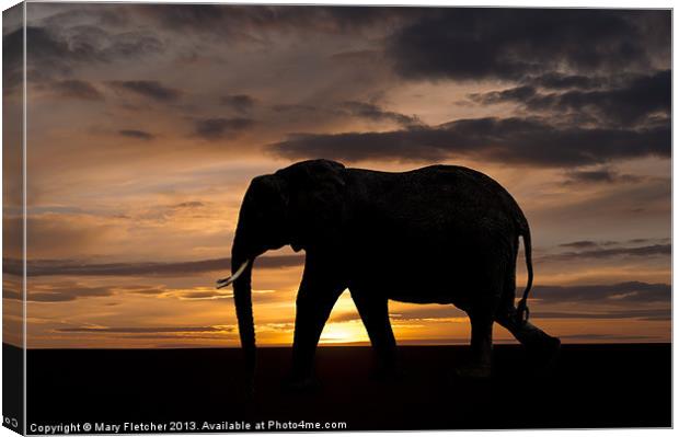 Elephant Silhouette Canvas Print by Mary Fletcher