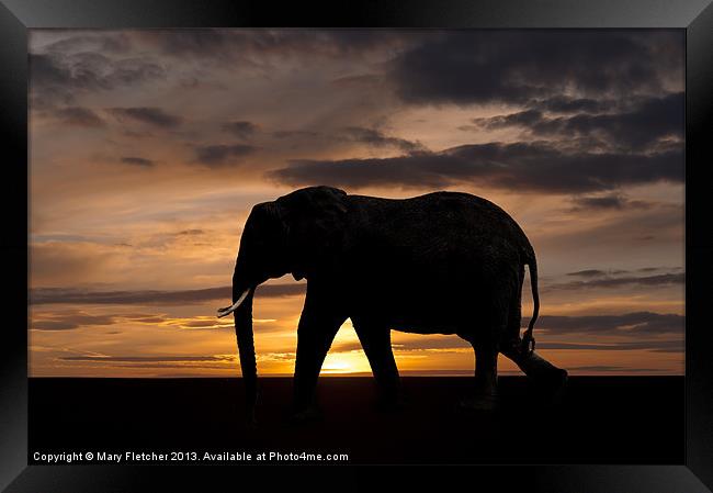 Elephant Silhouette Framed Print by Mary Fletcher