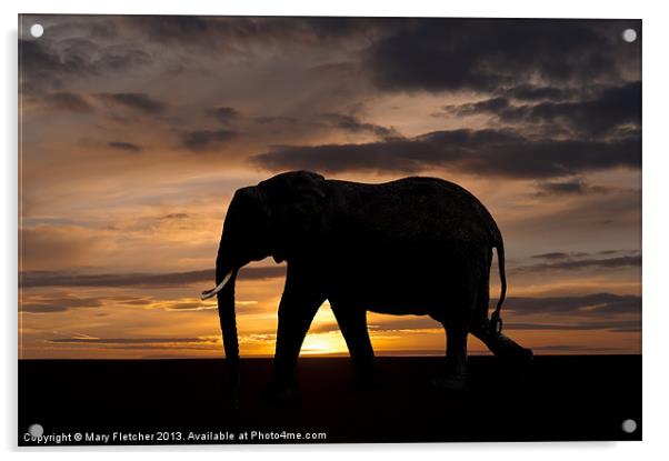 Elephant Silhouette Acrylic by Mary Fletcher