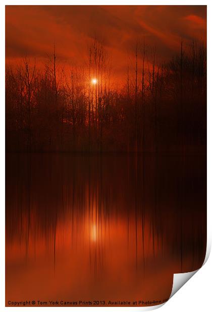 RED SKY SUNSET Print by Tom York