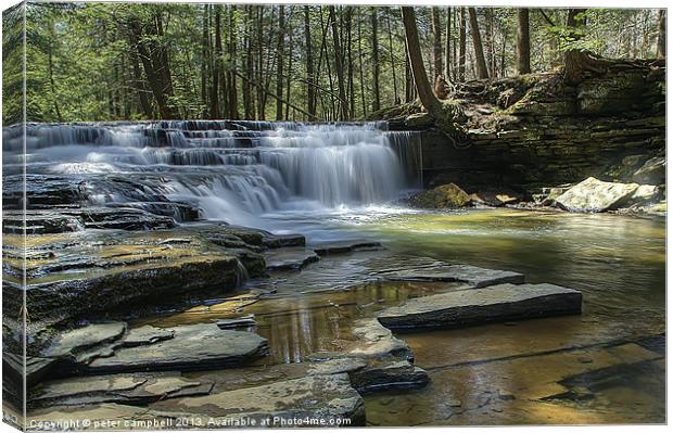 Salt Springs Park in PA Canvas Print by peter campbell