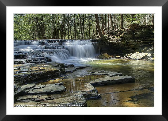 Salt Springs Park in PA Framed Mounted Print by peter campbell