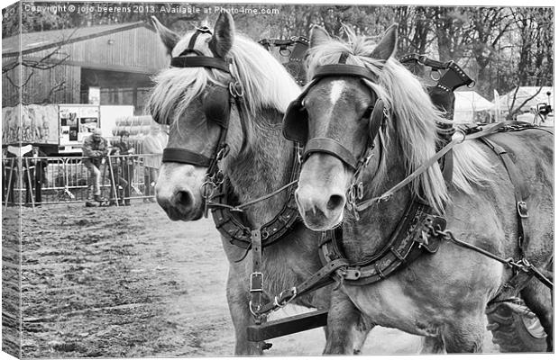 double horse power Canvas Print by Jo Beerens