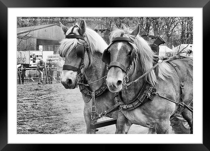 double horse power Framed Mounted Print by Jo Beerens