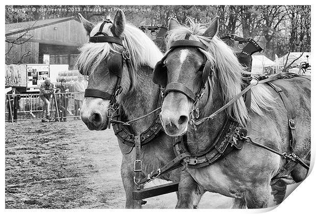double horse power Print by Jo Beerens