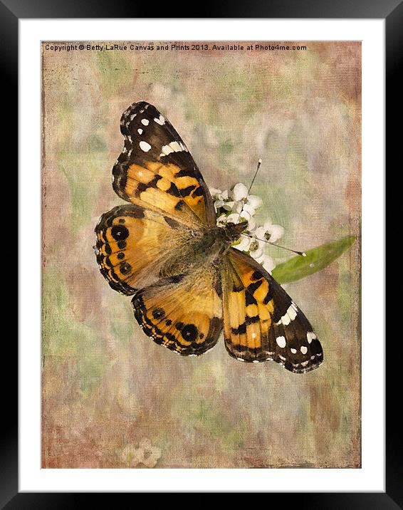 A Whisper of Wings Framed Mounted Print by Betty LaRue
