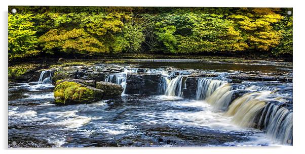 The Upper Falls Aysgarth Acrylic by Trevor Kersley RIP