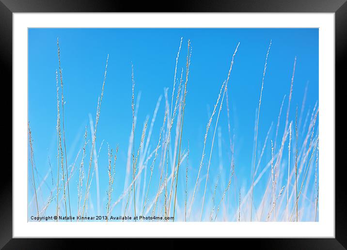 Golden Grasses against a Clear Blue Sky Framed Mounted Print by Natalie Kinnear