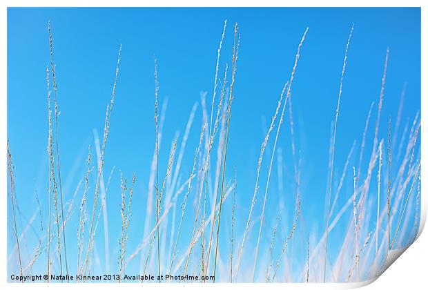Golden Grasses against a Clear Blue Sky Print by Natalie Kinnear