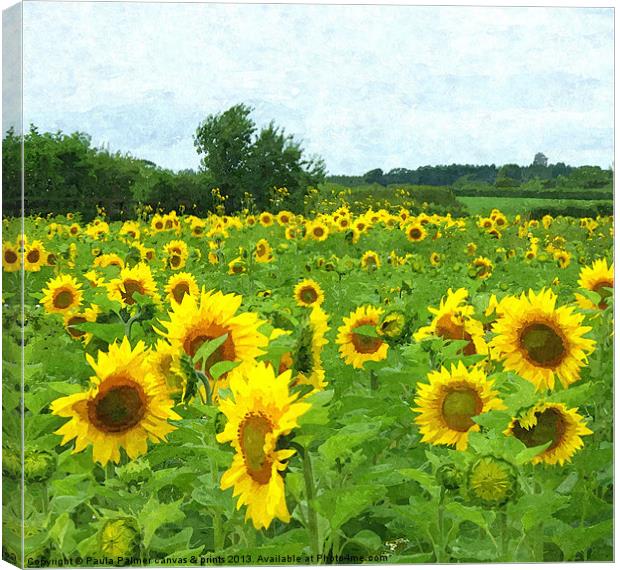 Sunflower field Canvas Print by Paula Palmer canvas
