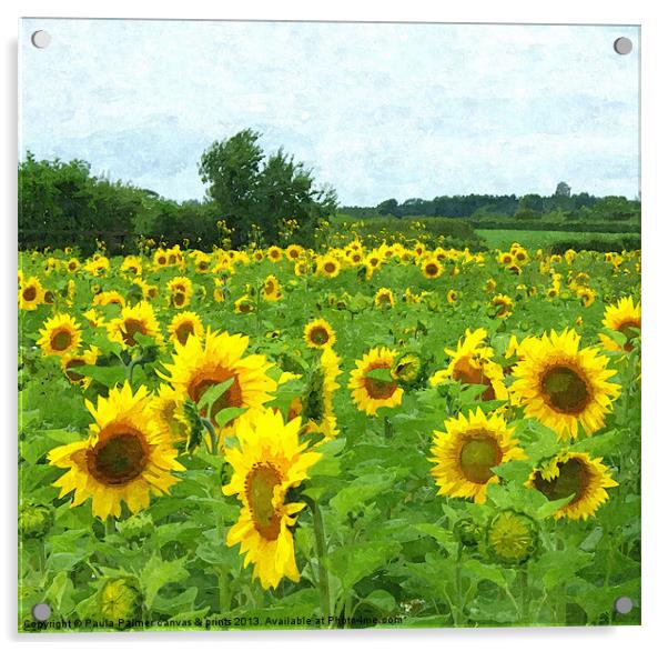 Sunflower field Acrylic by Paula Palmer canvas