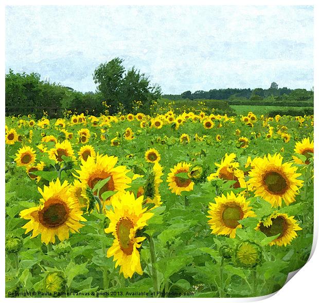 Sunflower field Print by Paula Palmer canvas