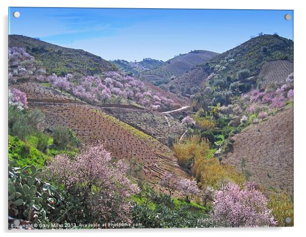 Almond Blossom Valley Acrylic by Gary Miles