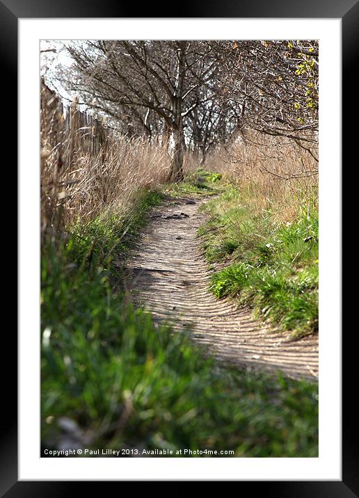 A walk on the wild side Framed Mounted Print by Digitalshot Photography