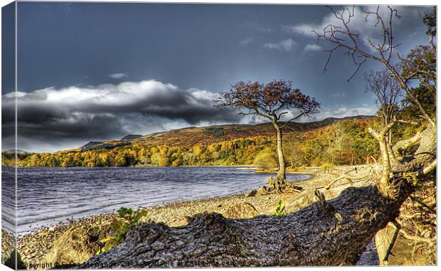 Milarrochy Bay Canvas Print by Fiona Messenger