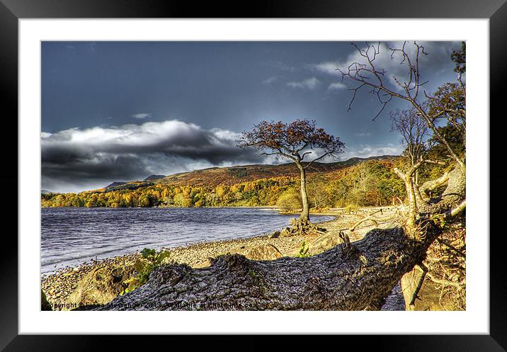Milarrochy Bay Framed Mounted Print by Fiona Messenger