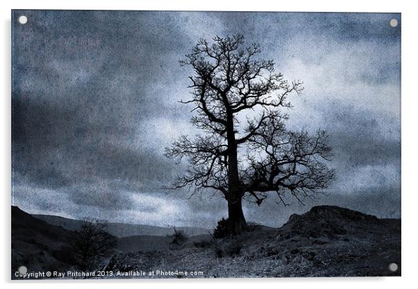 Dark Tree Acrylic by Ray Pritchard