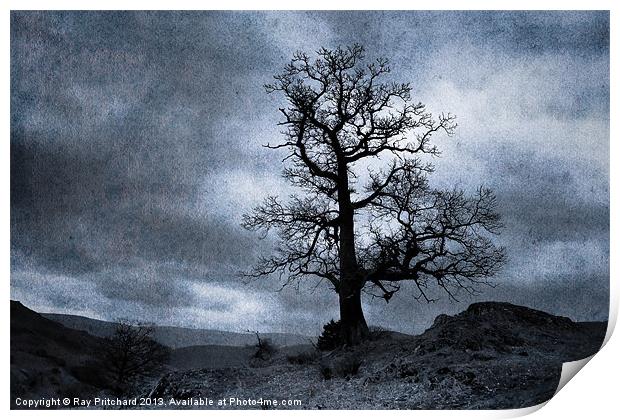 Dark Tree Print by Ray Pritchard