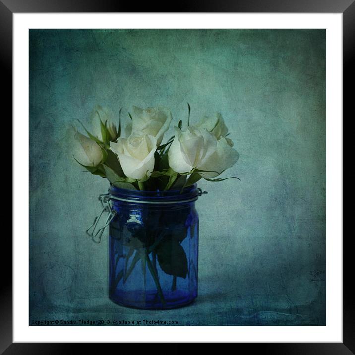Roses in a blue jar Framed Mounted Print by Sandra Pledger