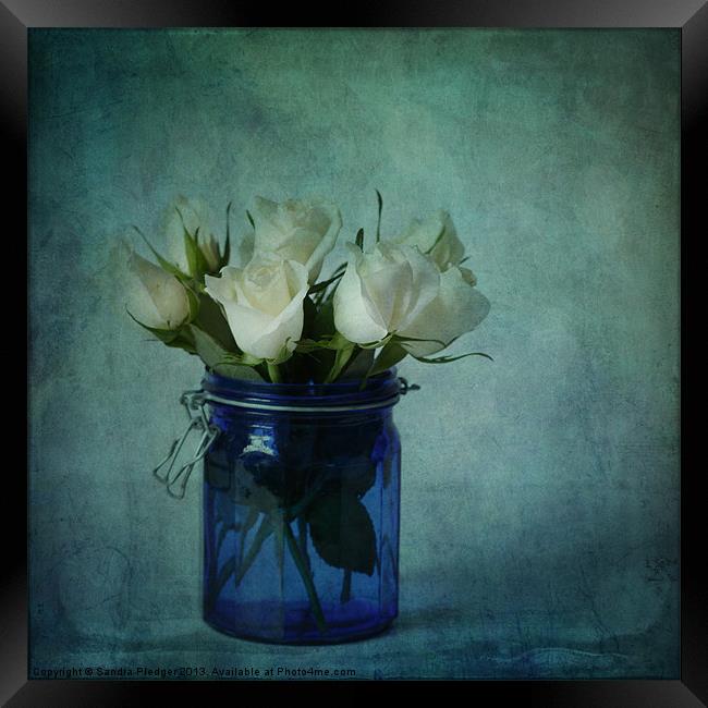 Roses in a blue jar Framed Print by Sandra Pledger