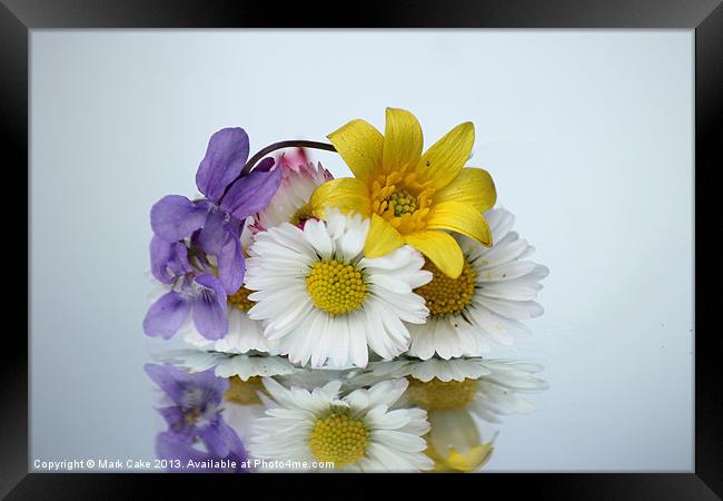 Reflections of spring Framed Print by Mark Cake
