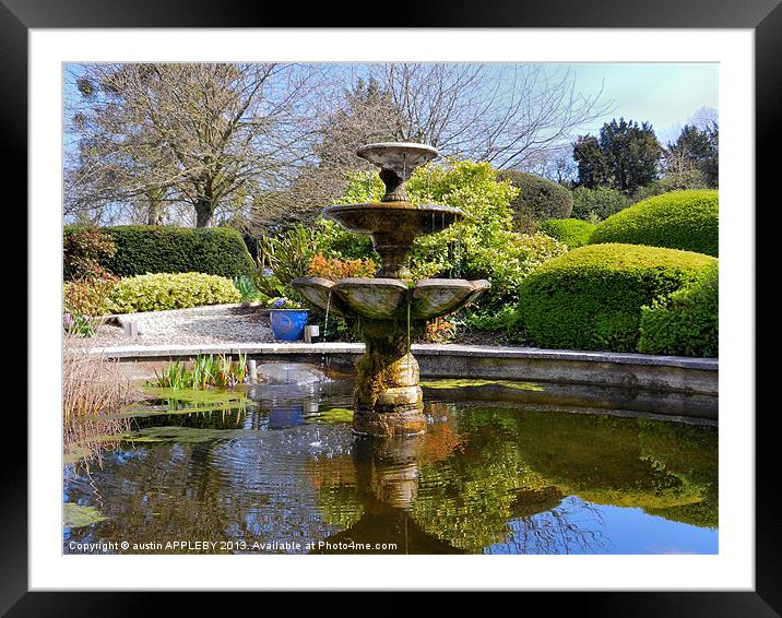 SPRING GARDEN FOUNTAIN AND POND Framed Mounted Print by austin APPLEBY