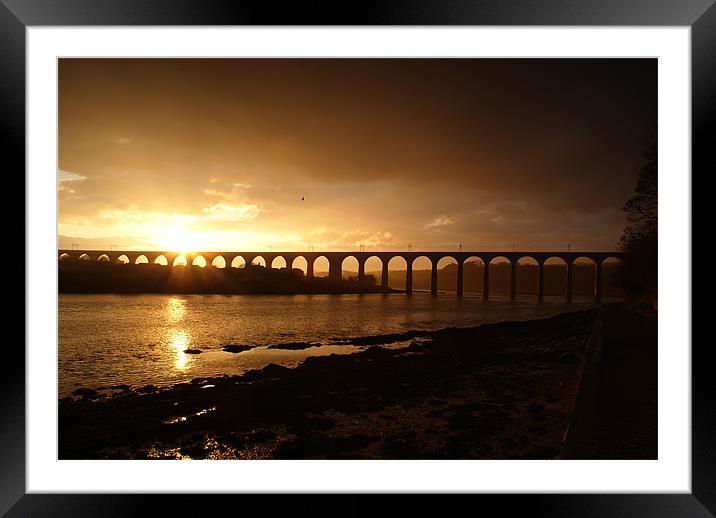 Berwick Viaduct Framed Mounted Print by James MacRae