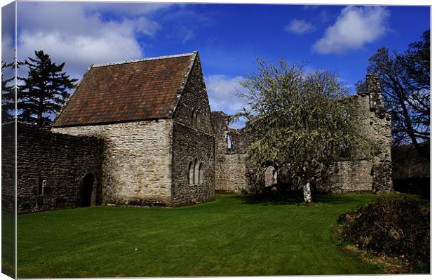 Inchmahome Priory Canvas Print by James MacRae