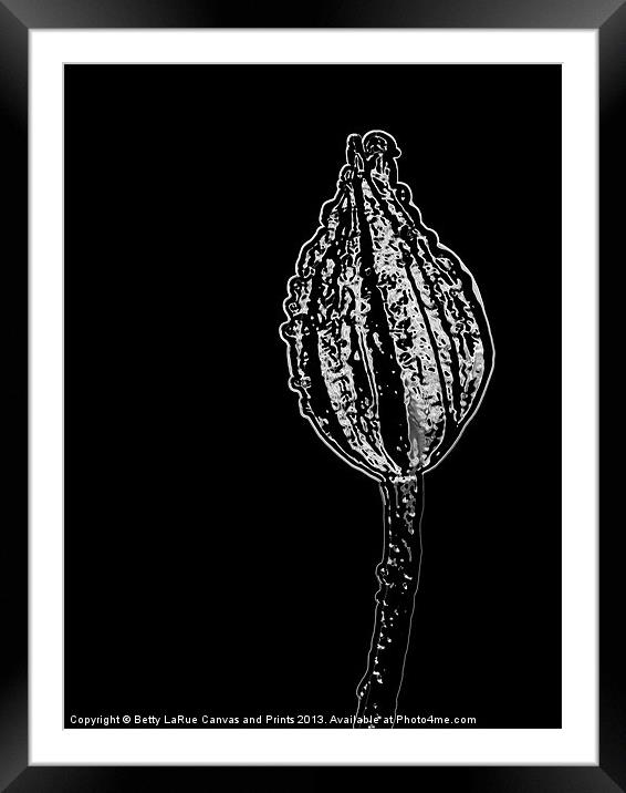 Abstract Flower Bud Framed Mounted Print by Betty LaRue