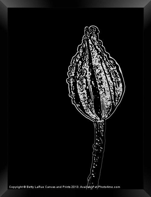 Abstract Flower Bud Framed Print by Betty LaRue