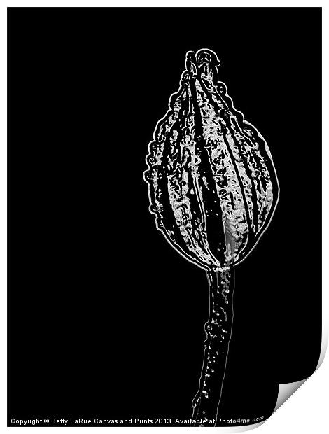 Abstract Flower Bud Print by Betty LaRue