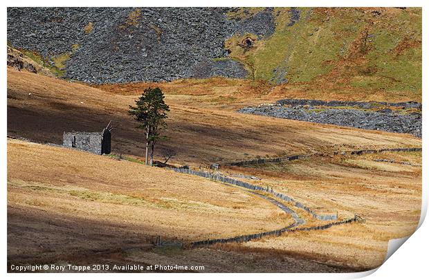 Cwmorthin chapel 2013 Print by Rory Trappe