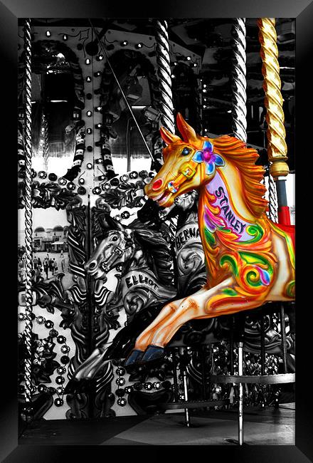 Carousel Horse Framed Print by Chris Day