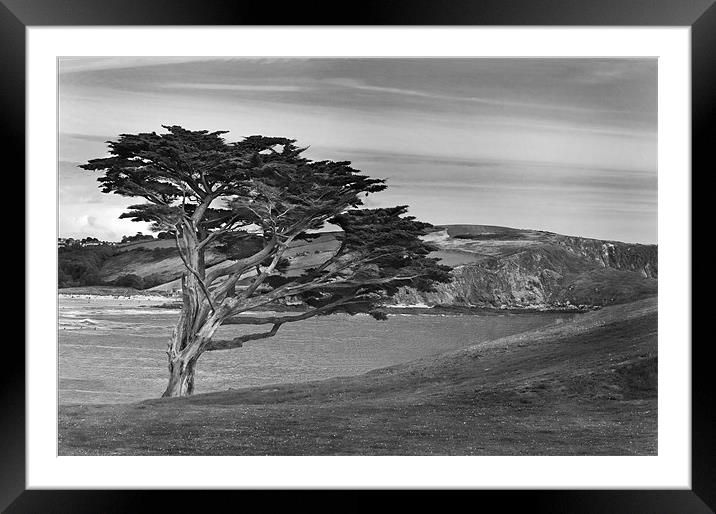 Burgh Island Framed Mounted Print by Malcolm Smith