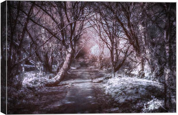 Dark path Canvas Print by paul thomas