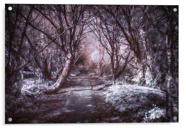 Dark path Acrylic by paul thomas