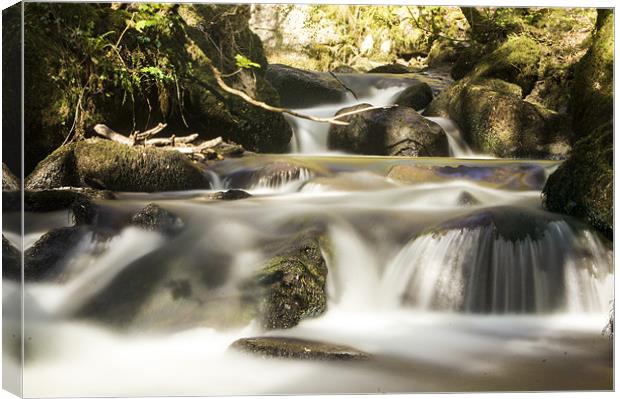 the stream Canvas Print by keith sutton