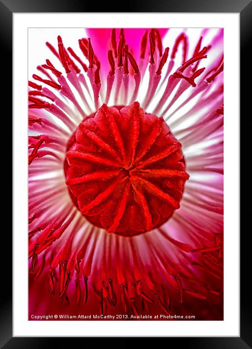 Psychedelic Rush Framed Mounted Print by William AttardMcCarthy