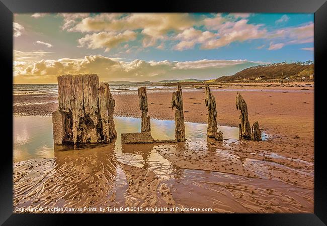 Groynes on Seamill Beach Framed Print by Tylie Duff Photo Art